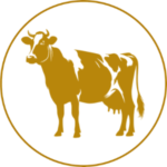 Cow png