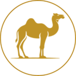 Camel png