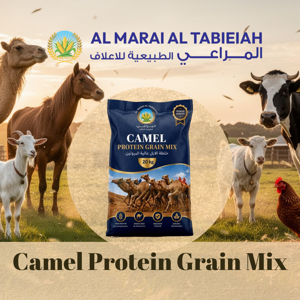 Camel Protein Grain Mix