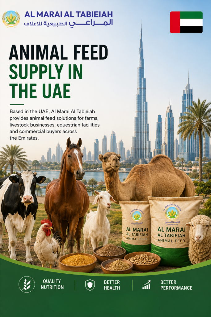 Animal Feed in UAE